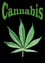 marijuana1.gif
